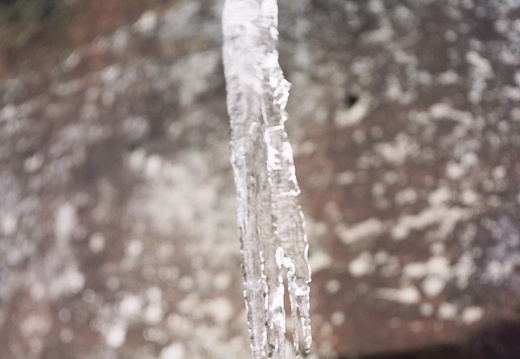 Ice on the Sheltowee Trace